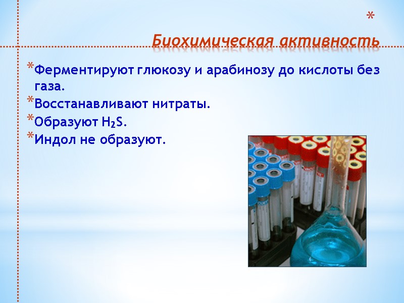 Биохимическая активность  Ферментируют глюкозу и арабинозу до кислоты без газа.  Восстанавливают нитраты.